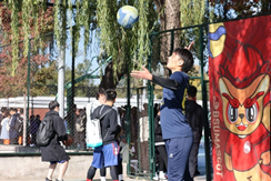 842781da1f0240bf818595caa7993dd6.png image.png