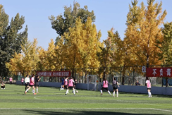 c95004cfc8264df09fc721e059fad8cb.png image.png