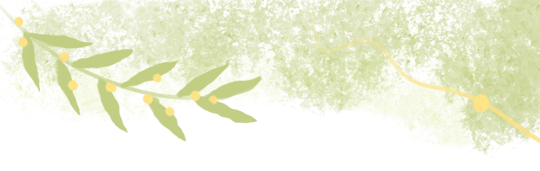 43f9216200e14da58c07983d66297430.png 43f9216200e14da58c07983d66297430.png