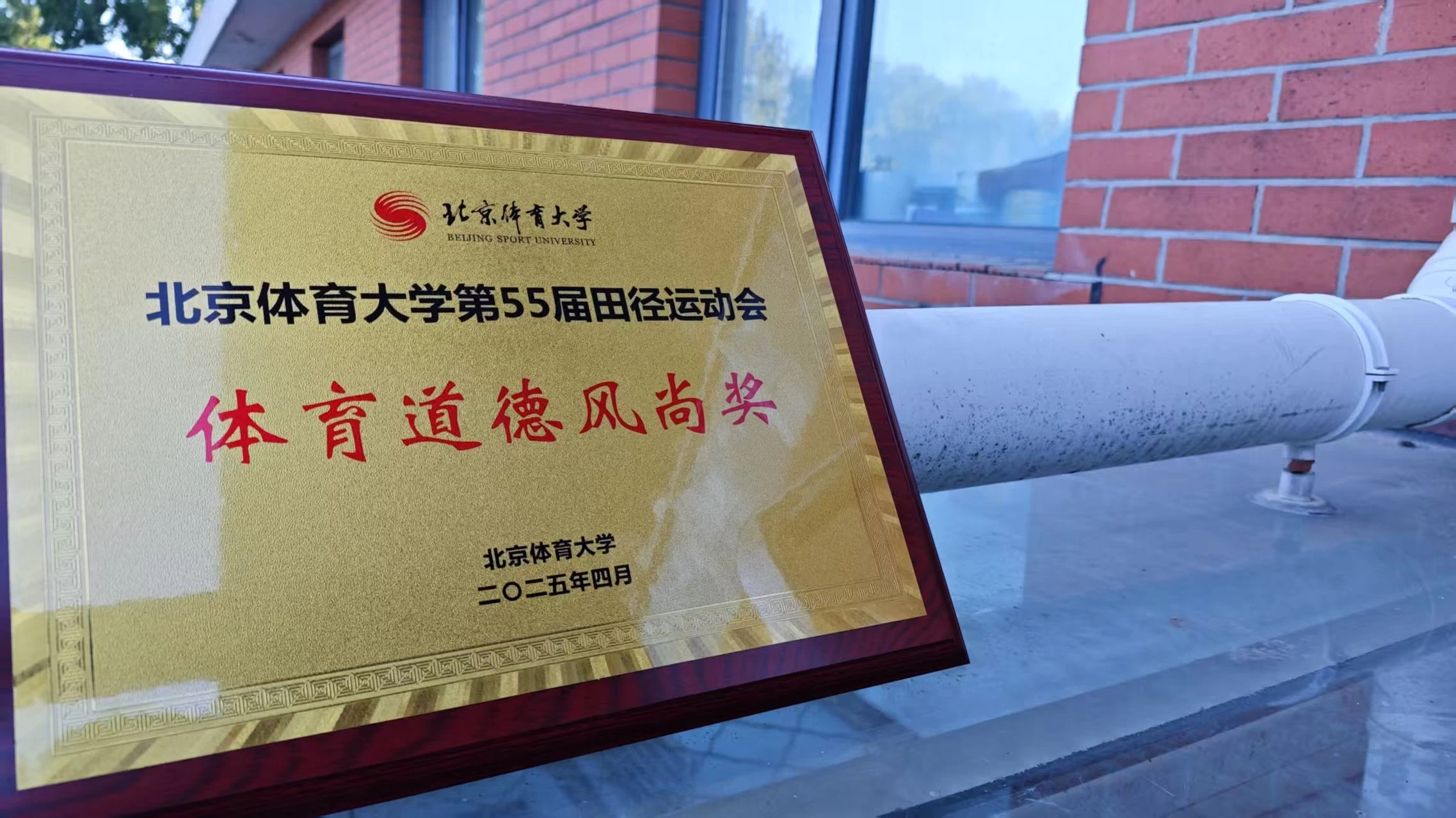 1f32ec4177cf4eb99faf1a1e906b3376.jpg 1f32ec4177cf4eb99faf1a1e906b3376.jpg