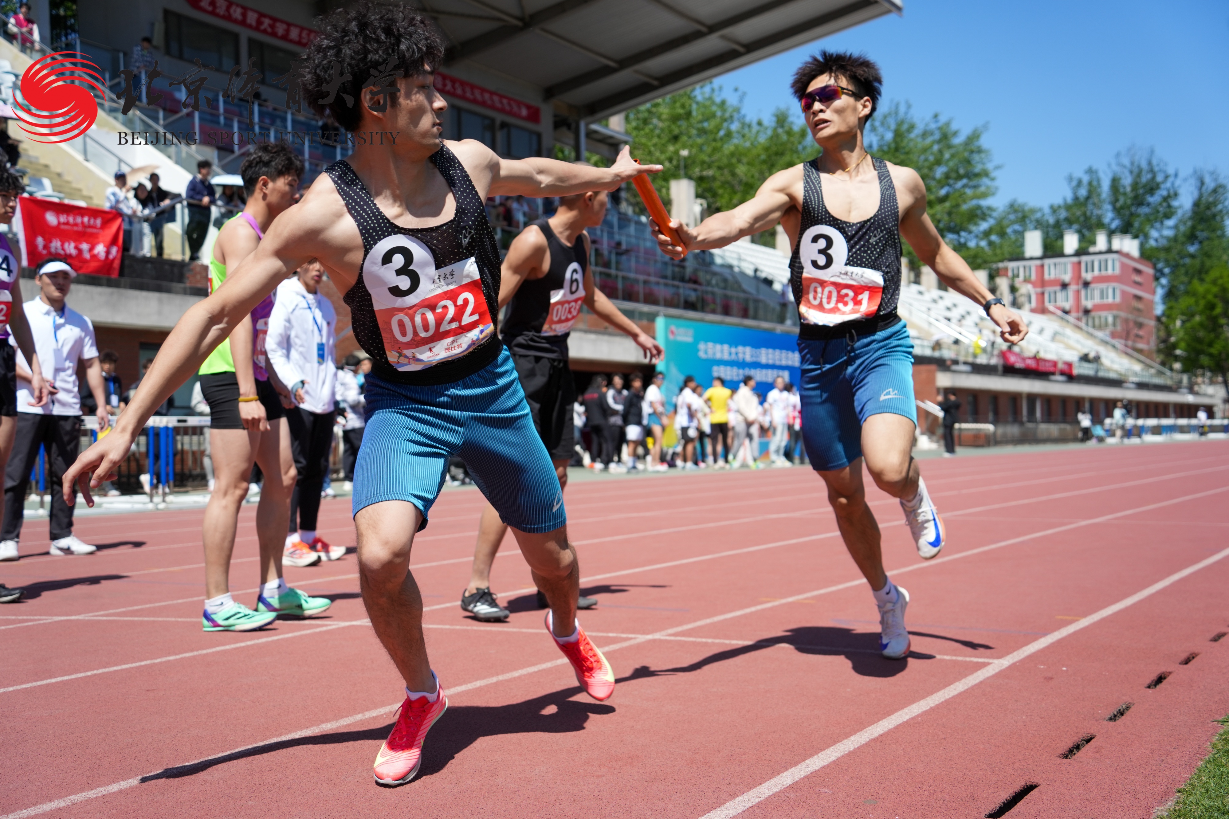 2ce6a8ff2a944ff091de84a2844af09c.jpg 2ce6a8ff2a944ff091de84a2844af09c.jpg